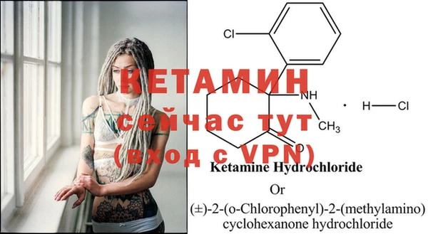 apvp Инта