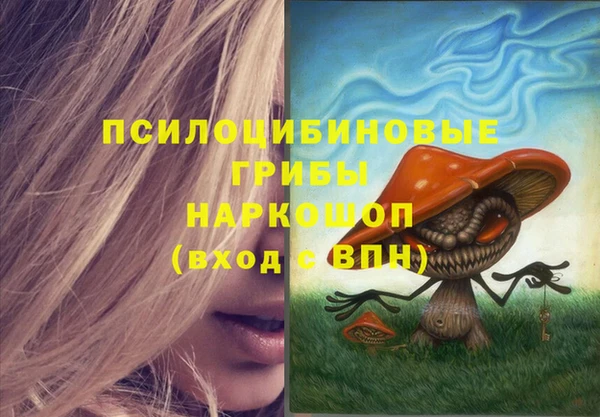 apvp Инта