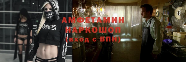 apvp Инта