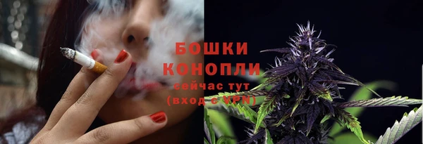 apvp Инта