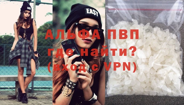 apvp Инта