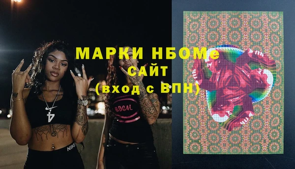 apvp Инта