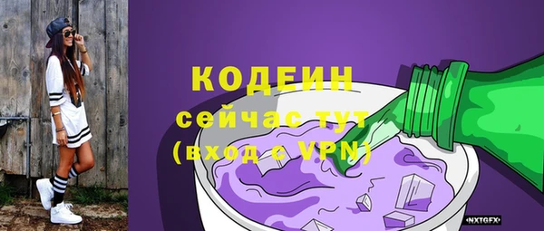 apvp Инта